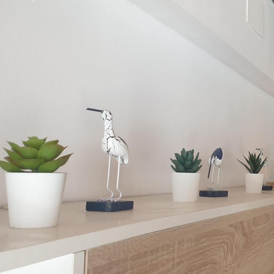 Espectacular Apartamento En La Isla De Tabarca Eksteriør billede